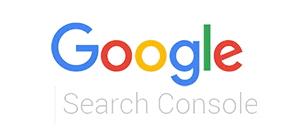 d5849086977cf93028b381dfc4103b81.Google-Search-Console